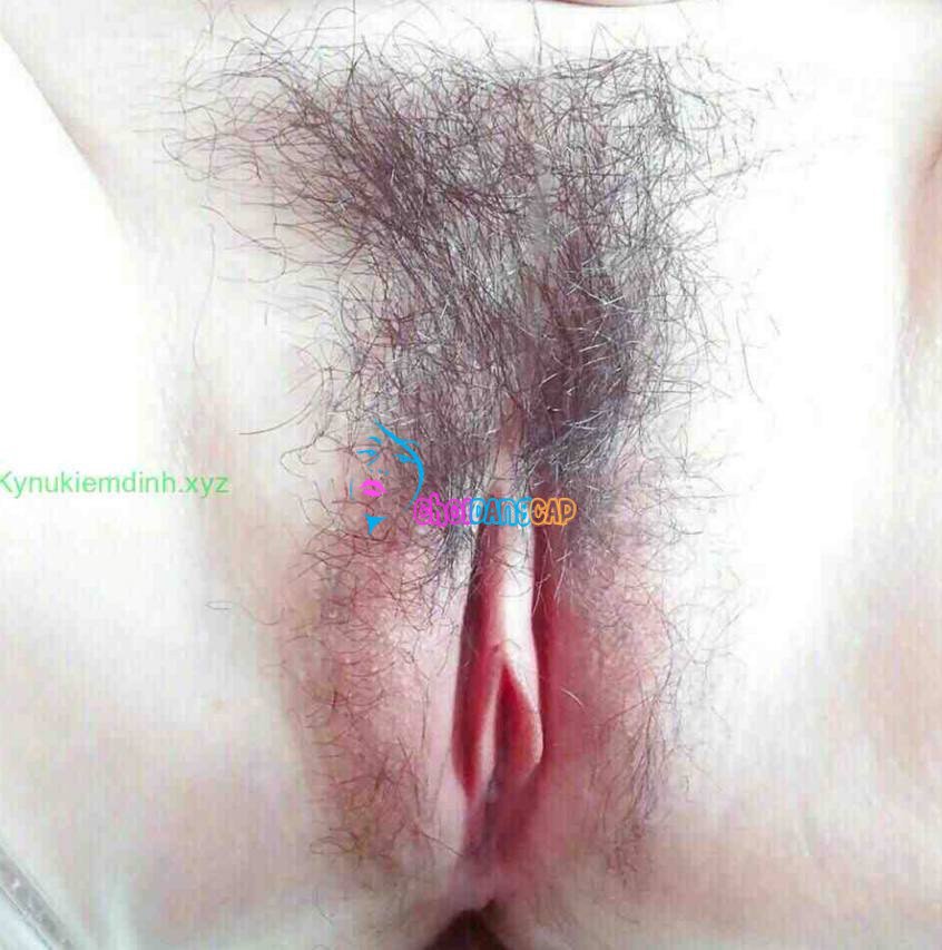 BFA62113-5CBB-41F9-9B7B-CDDEA45D0061