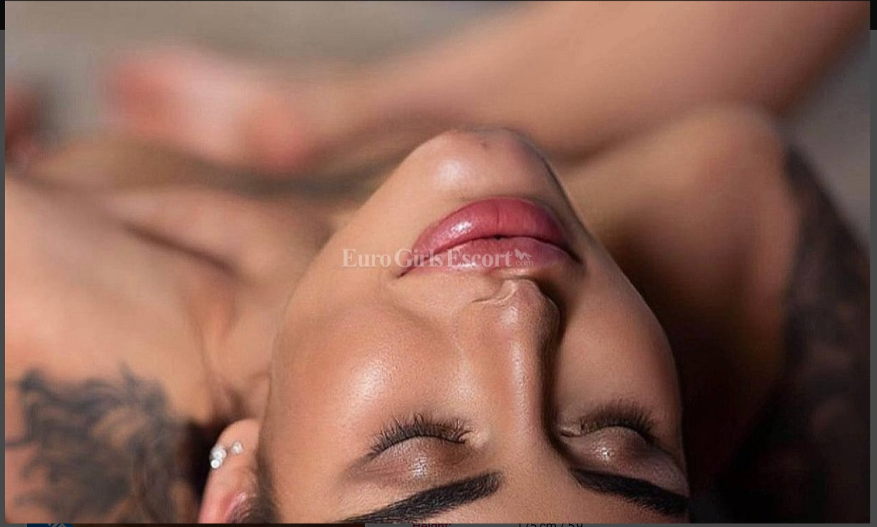 Screenshot 2024-01-27 211957